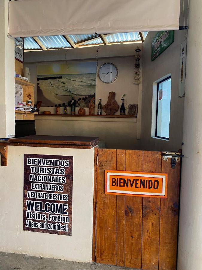 Cabanas Frida Chelem Bagian luar foto